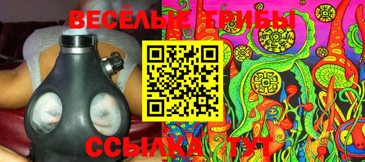 Галлюциногенные грибы GOLDEN TEACHER  Вход с VPN  Новокуйбышевск  Галлюциногенные грибы GOLDEN TEACHER 